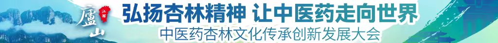 老肥逼中医药杏林文化传承创新发展大会